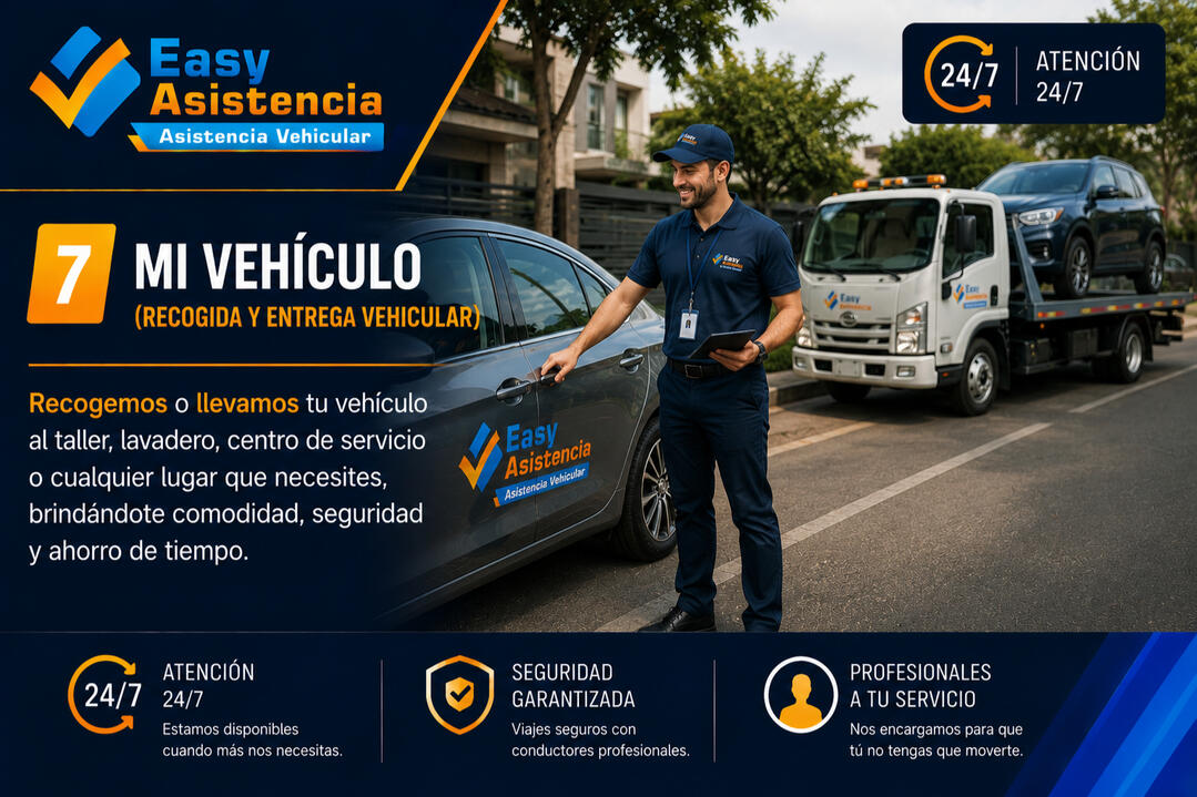 Mi Vehículo Recogemos o llevamos tu vehículo