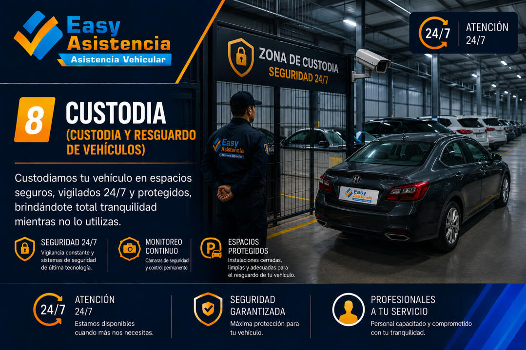 Custodia Guardamos tu carro