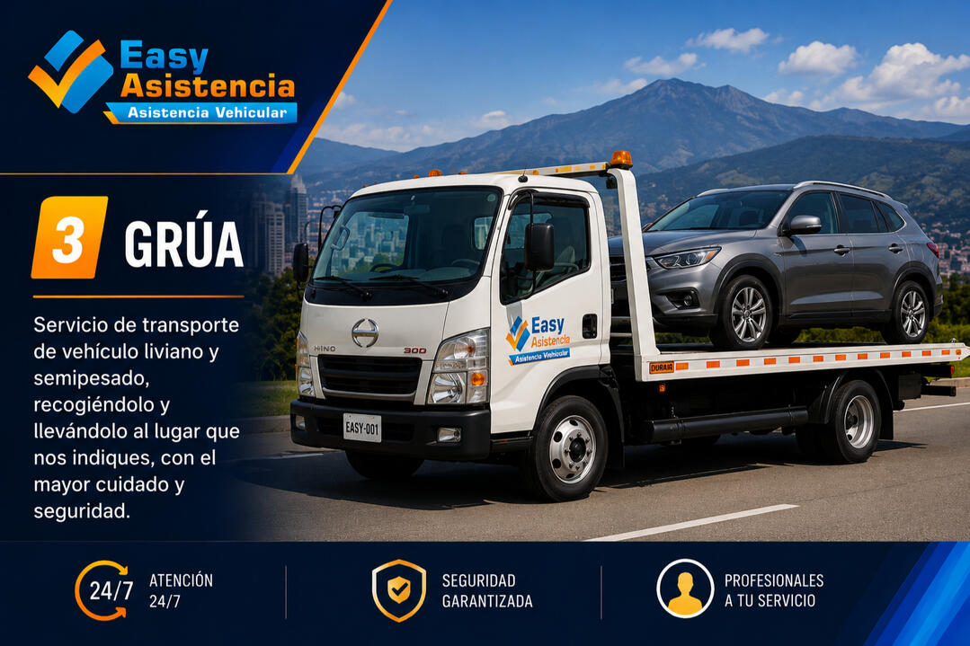 Grua Transporte de Vehículos